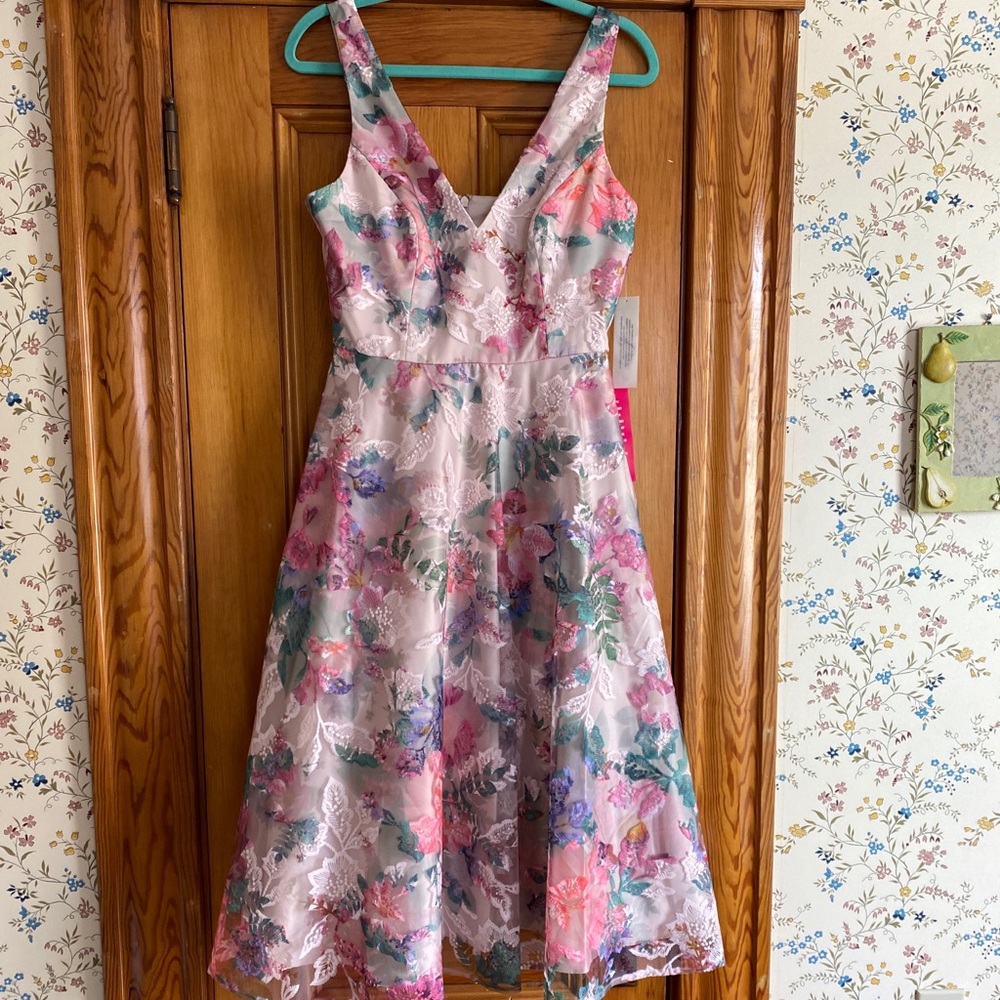 Eliza J embroidered dress 6 BNWT